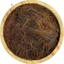 SHC4200 Mısır Püskülü 1kg
