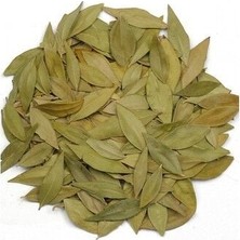 SHC4200 Mersin Yaprağı 1kg