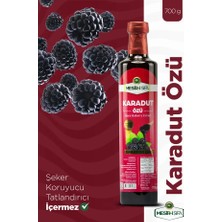 Mesir-i Şifa Karadut Özü 700 gr Doğal Katkısız Geleneksel Lezzet