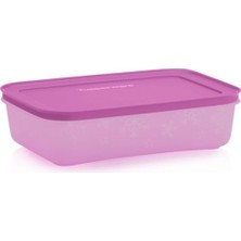 Tupperware Alaska 1 Litre Buzdolabı ve Derin Dondurucu Saklama Kabı