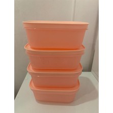 Tupperware Alaska 450 ml 4 Lü Derin Dondurucu ve Buzdolabı Saklama Kabı