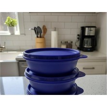 Genelec Tupperware Şeker Kaplar 300 ml 2 Li(Laci̇vert Renk)