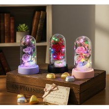 Selfbuysell Işıklı Müzikli Romantik Fanus Tekli Gül