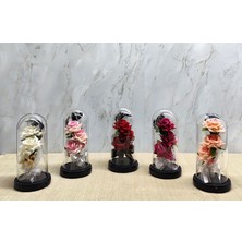 Selfbuysell Işıklı Müzikli Cam Fanus Içinde Romantik Gül