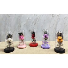 Selfbuysell Işıklı Müzikli Romantik Gül Buketi