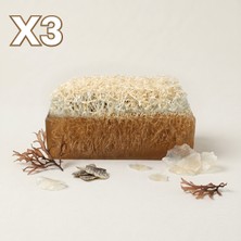 Argentum Natural Kolajen Kabak Lifli Sabun Avantajlı Paket