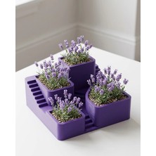 Nacario 3D Kaktüs Saksısı Çok Bölmeli Dekoratif Tasarım