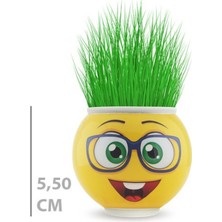 Selfbuysell Çim Adam Saksı Emoji Figürlü 1 Adet
