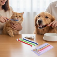 Lady Fify Kedi ve Köpek Için Açılı Tasarımlı, Konik Kıllı ve Çift Uç Tasarımlı 4'lü Diş Fırçası Seti