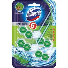 Domestos Wc Temizleyici Blok 2x5'li Güç Çam Ferahlığı