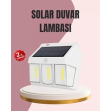 Nemere İthalat Güneş Enerjili Bahçe ve Duvar Aydınlatma – BK-618-3 LED Lamba Nemere Ithalat