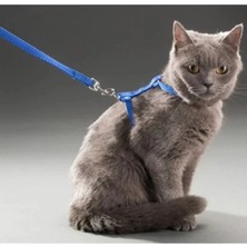 Nemere İthalat Kedi Boyun ve Göğüs Tasması Nemere Ithalat