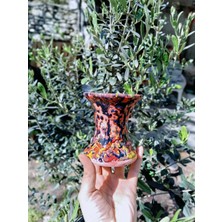 Yağmur Kaktüs Sır Kaplı Estetik Özel Seramik Saksı
