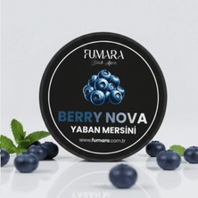 Fumara Yaban Mersini Aromalı Nargile Marmelatı 200GR. Berry Nova
