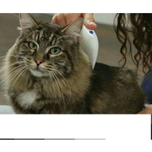 Epilons Kedi Köpek Pire Temizleyici Pire Tarağı Flea Doctor