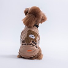 Pawstar Beige-Bej Baby Teddy Sweat Kedi Köpek Sweati - Kedi Köpek Kıyafeti