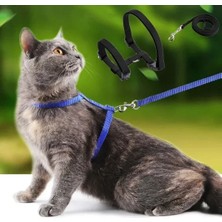 Kedi Tasması Midastech