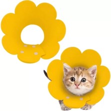 Evcil Hayvan S Boy Keçe Elizabeth Yakalığı Midastech