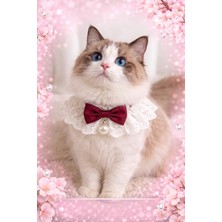 Steelva Fiyonk Papyonlu ve Incili Kedi Kıyafeti Bordo (Tasması,bandanası)