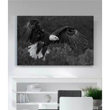 Lona Sanat Kartal Kanvas Tablo