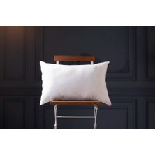 Nesco 4 Adet 50X70 cm 900 gr Dolgun Yastık