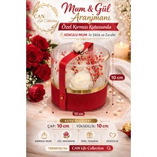 CAN Life Collection Özel Tasarım Şeffaf Kapaklı Hediye Mum