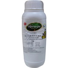 Uğurluoğlu Neem Tesbih Ağacı Yağı 1lt