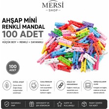 Mersi Shop 100 Adet Renkli Mini Ahşap Mandal Fotoğraf Not Askısı Dekoratif Mandal 2.5 cm