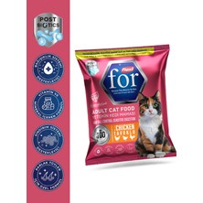 Flexi For Tavuklu Yetişkin Kedi Maması 100 gr – Postbiyotik Destekli, Tüy Yumağı Önleyici, Hassas Sindirim Için Kuru Kedi Maması