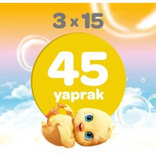 NW NessiWorld Klasik Islak Cep Mendil 3X15 Adet