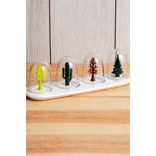 Handanca 4 Mevsim Baharatlık Dört Mevsim Cam Tuzluk Biberlik Karabiber Baharat Seti