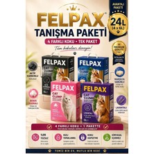 Felpax Topaklanan Kedi Kumu Tanışma Paketi 6 Lt x 4 Adet