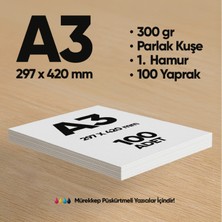 İnformal Yayınları İnformal Baskı Kağıdı Premium Kalite A3 300 gr Parlak Kuşe(Mürekkep püskürtmeli için) 100 Adet 1.Hamur