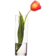 Handanca Silindir Vazo Flora