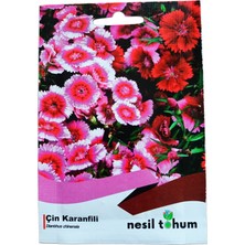 Nesil Tohum Çin Karanfili Tohumu 100 Adet