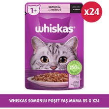 Whiskas Pouch Somonlu Yaş Kedi Maması 85 Gr x 24 Adet