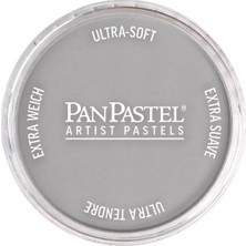 Panpastel Ultra Soft Artist Pastel Boya 820.8 Neutral Gray Tint