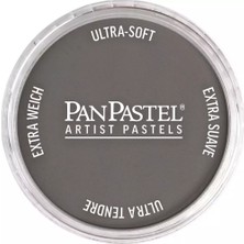 Panpastel Ultra Soft Artist Pastel Boya 820.3 Neutral Gray Shade