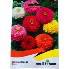 Nesil Tohum Zinna Çiçeği Tohumu 30 Adet