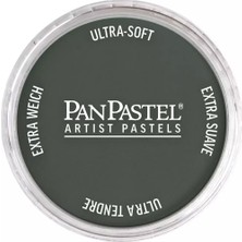 Panpastel Ultra Soft Artist Pastel Boya 820.2 Neutral Gray Extra Dark