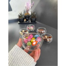 Handanca 6'lı Çift Cidarlı Mini Sosluk, Lokumluk, Drajelik, Kahve Yanı Ikram Tabağı Çerezlik Sunumluk Glrshop