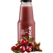 Gümüşsu %100 Kızılcık Suyu - 1 Litre Koli (6 Adet)