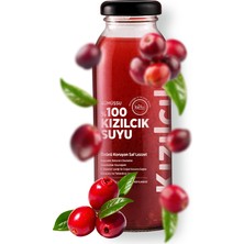 Gümüşsu %100 Kızılcık Suyu 250 ml Koli (12 Adet)