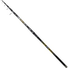 RYUJI Ryujı Aragon 3.90M 60-150GR Tele Kamış Standart-Standart