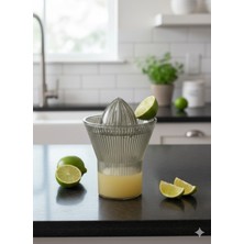 Handanca Narenciye Sıkacağı 13,2X13,2X18 cm Füme