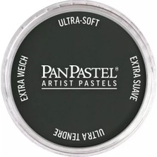 Panpastel Ultra Soft Artist Pastel Boya 820.1 Neutral Gray Extra Dark
