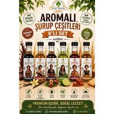 Hudot Premium Aromalı Şurup Seti 6X100 ml – Stevia Tatlandırıcılı, Düşük Kalorili, Kahve & Içecekler Için (Çikolata, Vanilya, Fındık, Lime, Karamel, Bisküvi)
