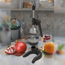 Handanca Kale 1706 Model Meyve Presi (Industrıal Type Fruıt Press)