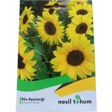 Nesil Tohum Süs Ayçiçeği Tohumu 50 Adet