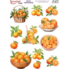 Ehobici Sulu Transfer Kağıdı 25X35CM ST-1101